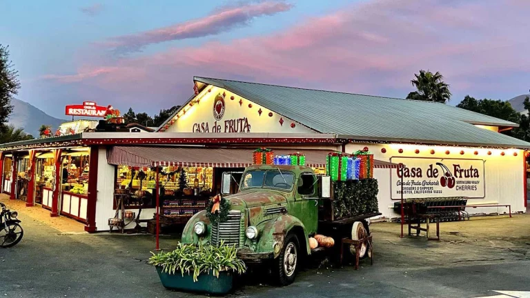 Casa De Fruta RV Orchard, a dog-friendly campground in Hollister, California
