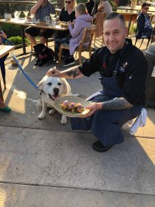 A vibrant dog park bathed in sunlight features abundant greenery with mature trees, offering ample shade for leisurely outdoor activities. In the distance is a well-equipped playground that presents an additional activity area. An inviting picnic table spreads out nearby, ideal for enjoying meals al fresco or taking relaxing breaks from play. A neatly-placed trash bin aids in maintaining the park's cleanliness for everyone's enjoyment. Dominating the scene is a generously wide dirt path gracefully curving through the expanse of grass, promising exploratory walks and lively fetch games.