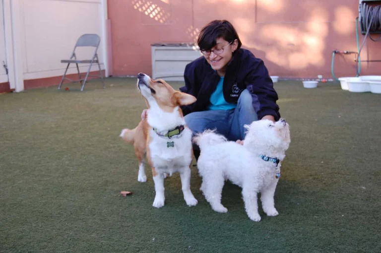 Citizen Canine, a dog-friendly pet boarding facility in Oakland, California