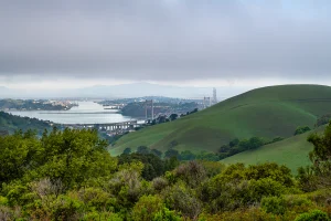 Crockett Hills Regional Park, a dog-friendly park in Crockett, California