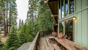 Cub's Cabin is tucked away in a forest, where tall pine trees stand proudly around it. A wooden balcony juts out from this cozy retreat, offering a perfect spot to enjoy the peace of nature with your dog. On the balcony, you'll find a sturdy picnic table and cushioned chairs that invite you to sit and relax. The cabin's large windows mirror the surrounding Enchanted Forest, creating an intimate connection with the lush greenery and tranquil beauty outside. It's an ideal getaway for dog owners seeking quiet moments amidst nature’s charm.