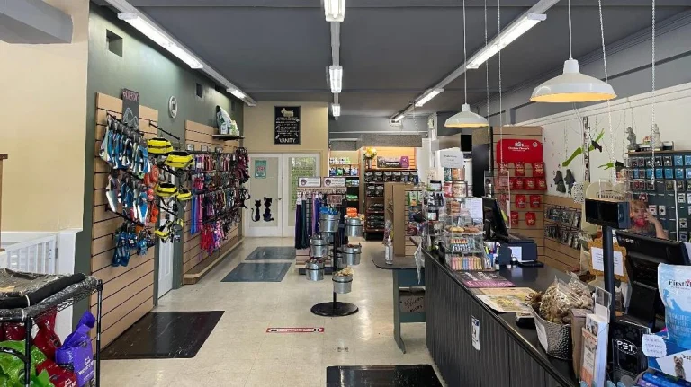 Debbie’s Pet Boutique