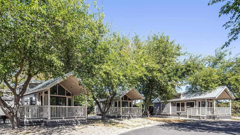 Yogi Bear’s Jellystone Park, a dog-friendly campground in Lodi, California