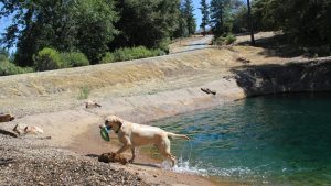 Dog & Pony ranch swimming pond
