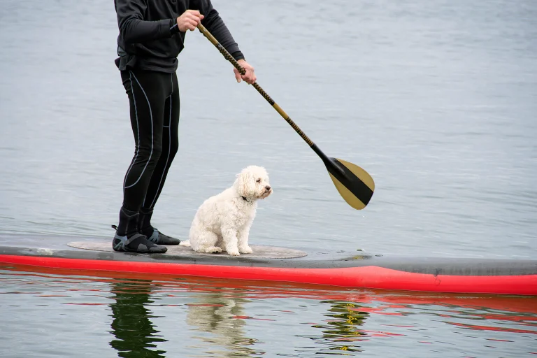 Tahoe City Kayak