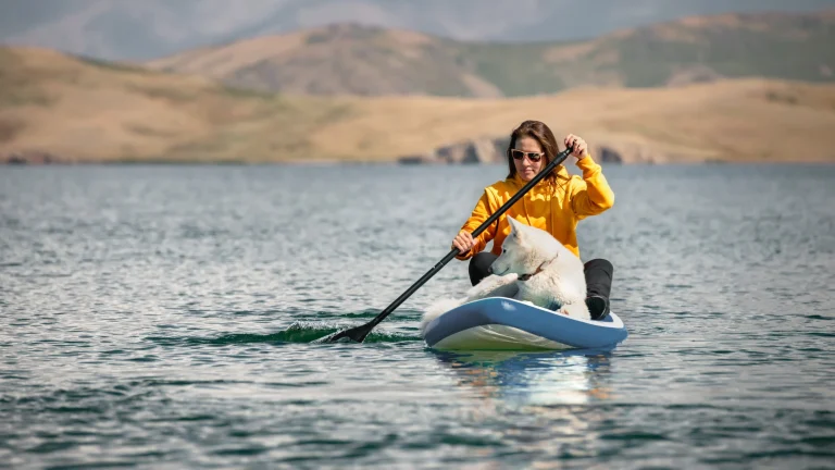 Holiday House SUP Instructions