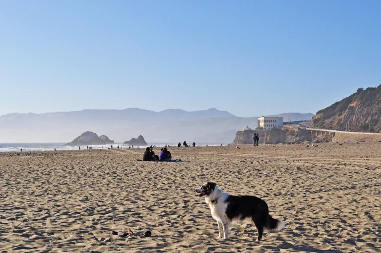 Ocean Beach