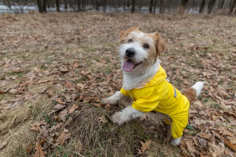 Villa Chanticleer Dog Park