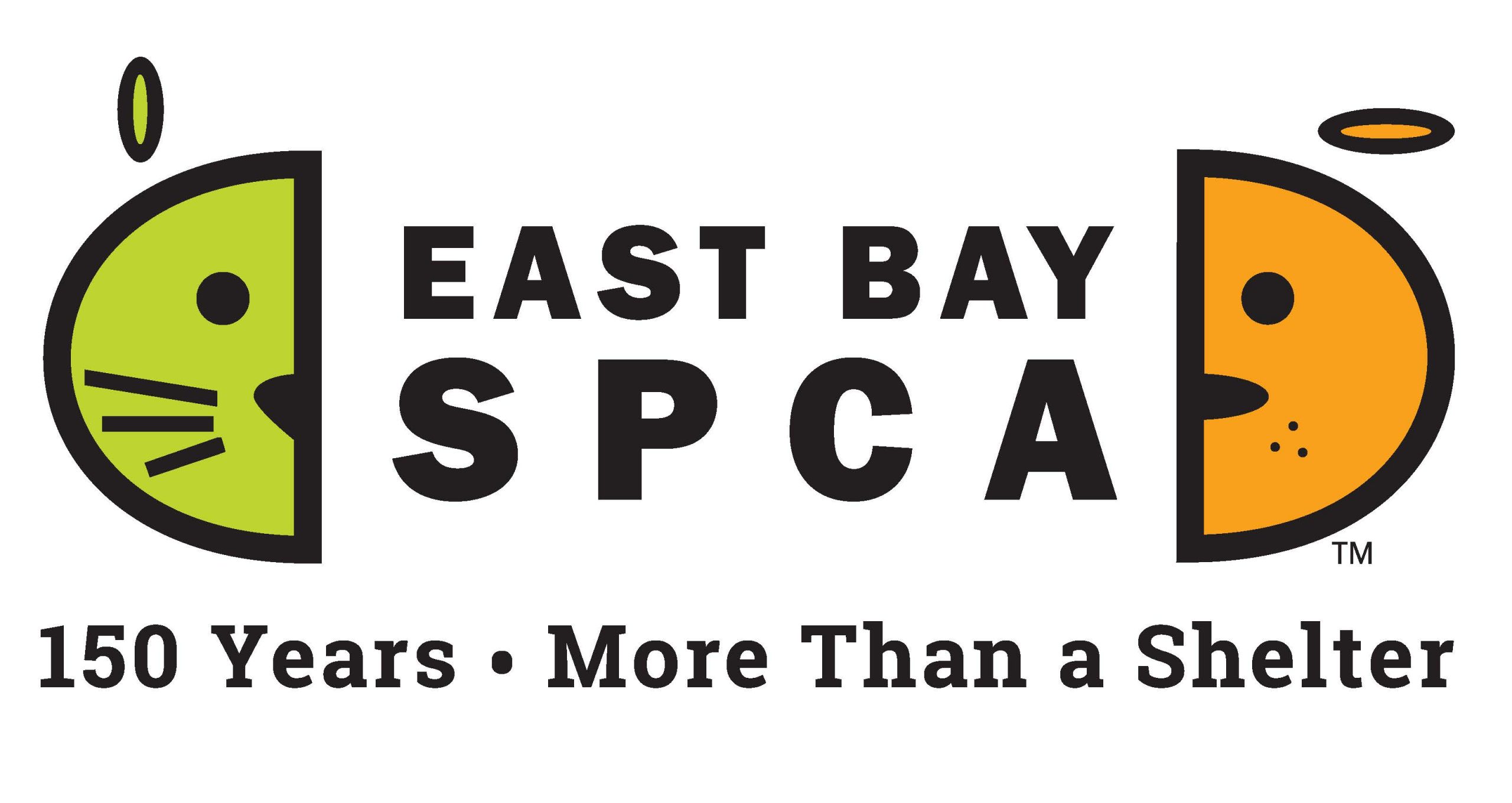 East Bay SPCA 150 Years More Than A Shelter