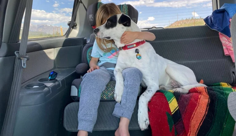 Eastern Sierra Dog Rescue