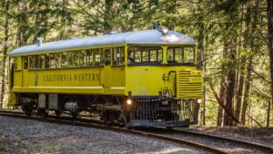 Willits Skunk Train.