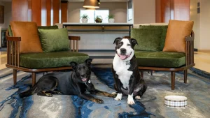 Fairfield Inn and Suites