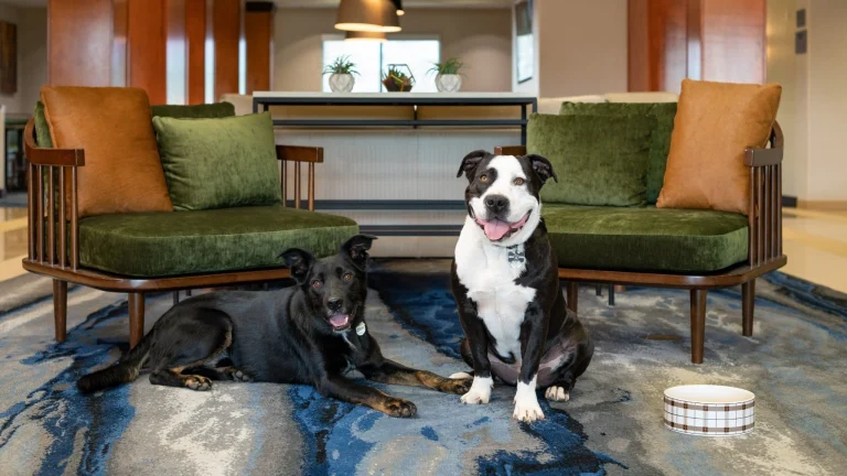Fairfield Inn and Suites