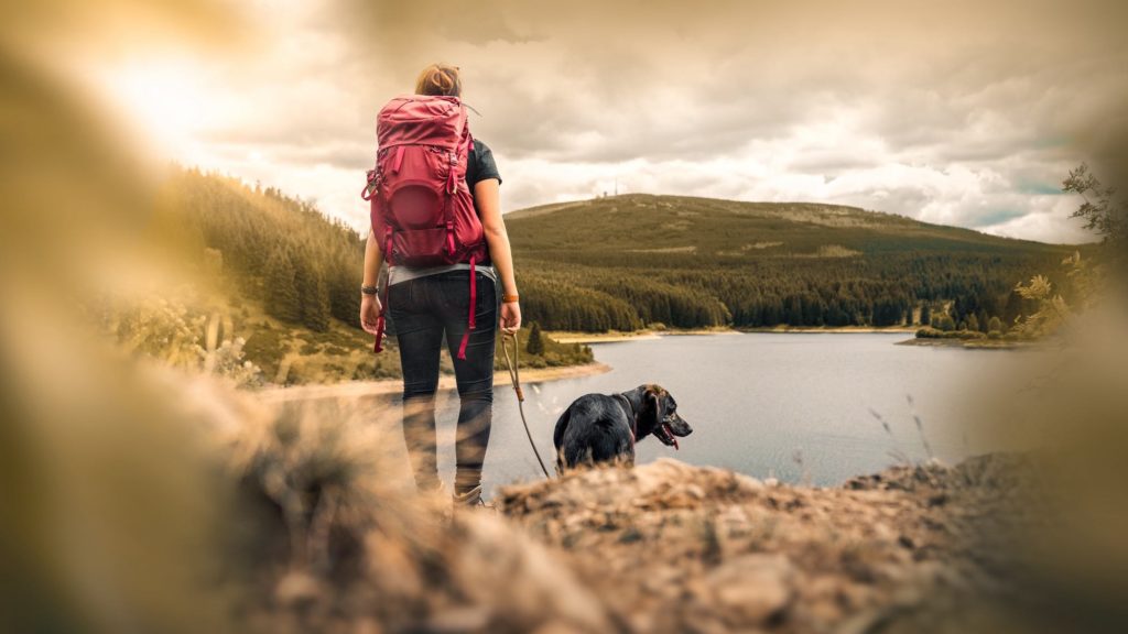 young woman with backpack and german shepherd dog puppy standing on mountain in front of forest and lake