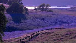 rolling hills and lake at Folsom Lake Recreation Area