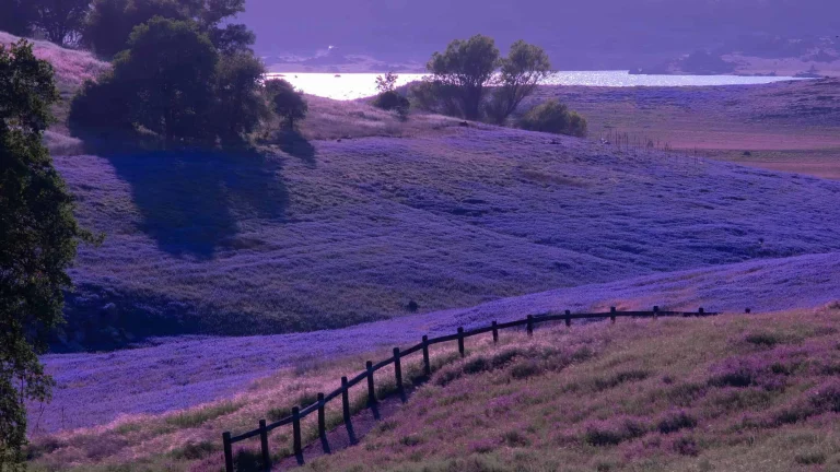 Folsom Lake State
