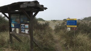 Gold Bluffs Beach