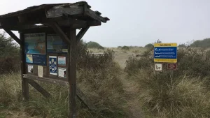 Gold Bluffs Beach