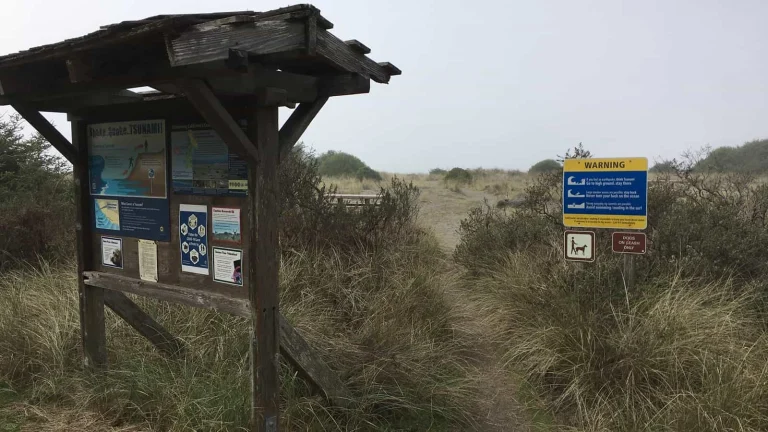 Gold Bluffs Beach, a dog-friendly beach in Orick, California