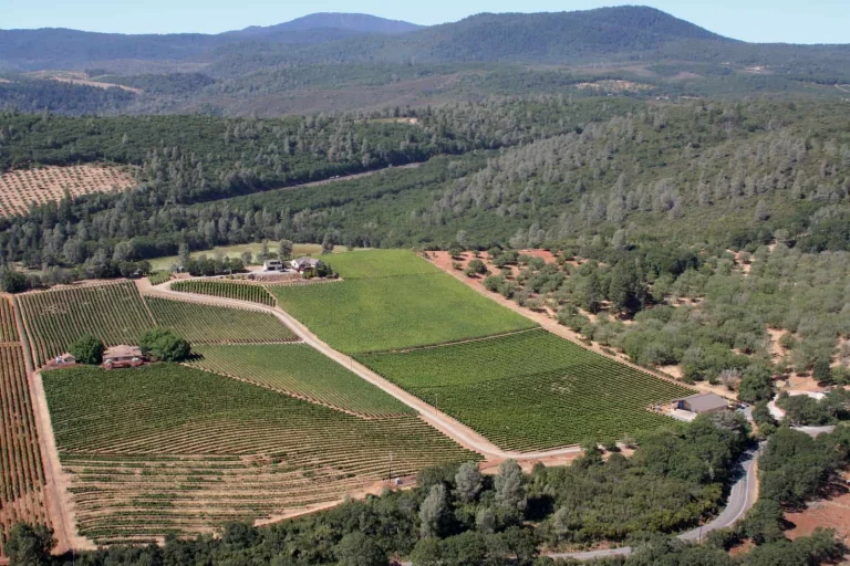 Gregory Graham Winery