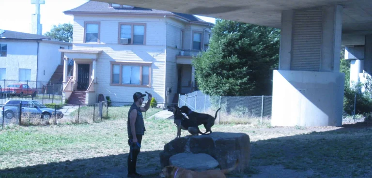 Grove-Shafter Dog Park, a dog-friendly dog park in Oakland, California