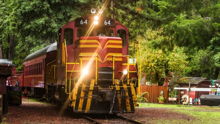 Skunk Train Willits Depot