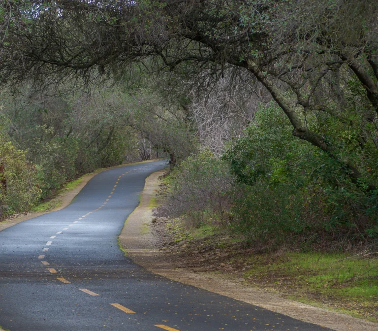 Jedediah Smith Memorial Trail
