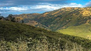 Ohlone Wilderness Regional Preserve