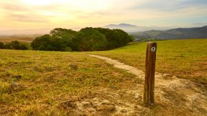 Almond Ranch, part of John Muir Land Trust