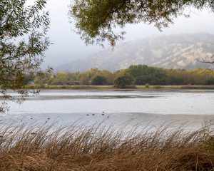 Lagoon Valley Park lake