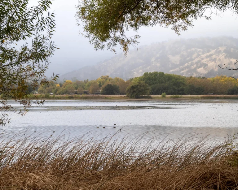 Pena Adobe/Lagoon Valley Park