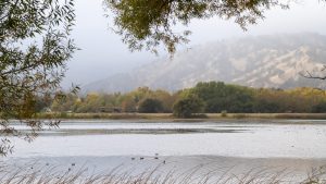 Lagoon Valley Park lake