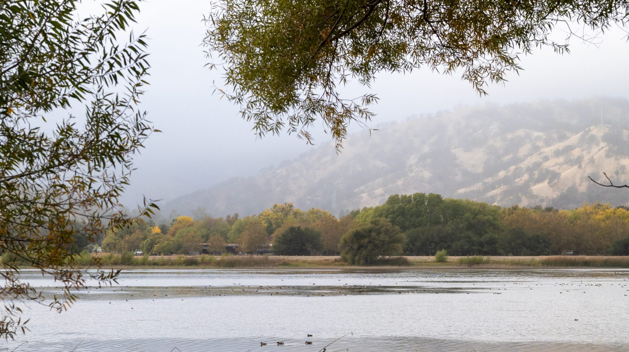 Lagoon Valley Park lake
