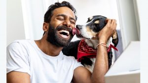 A vibrant dog park bathed in sunlight features abundant greenery with mature trees, offering ample shade for leisurely outdoor activities. In the distance is a well-equipped playground that presents an additional activity area. An inviting picnic table spreads out nearby, ideal for enjoying meals al fresco or taking relaxing breaks from play. A neatly-placed trash bin aids in maintaining the park's cleanliness for everyone's enjoyment. Dominating the scene is a generously wide dirt path gracefully curving through the expanse of grass, promising exploratory walks and lively fetch games.
