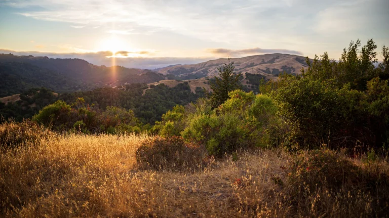 Marin Headlands