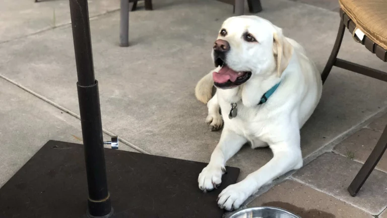 Maya at the Range Cafe.