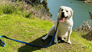 Maya on the Big River trail