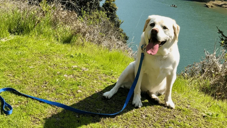 Big River Trail