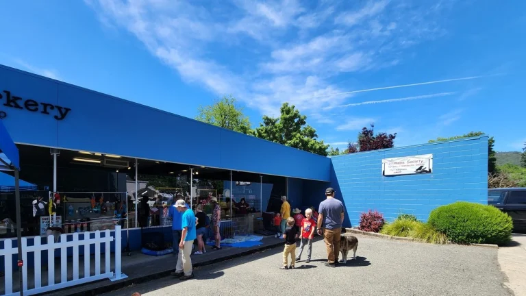 Mendocino Barkery
