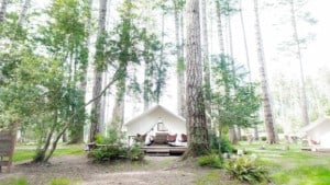 Mendocino Grove glamping tent