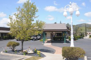 A vibrant dog park bathed in sunlight features abundant greenery with mature trees, offering ample shade for leisurely outdoor activities. In the distance is a well-equipped playground that presents an additional activity area. An inviting picnic table spreads out nearby, ideal for enjoying meals al fresco or taking relaxing breaks from play. A neatly-placed trash bin aids in maintaining the park's cleanliness for everyone's enjoyment. Dominating the scene is a generously wide dirt path gracefully curving through the expanse of grass, promising exploratory walks and lively fetch games.