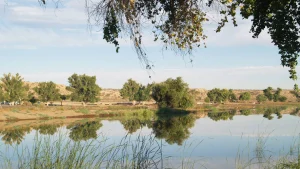 Mojave Narrows Regional Park