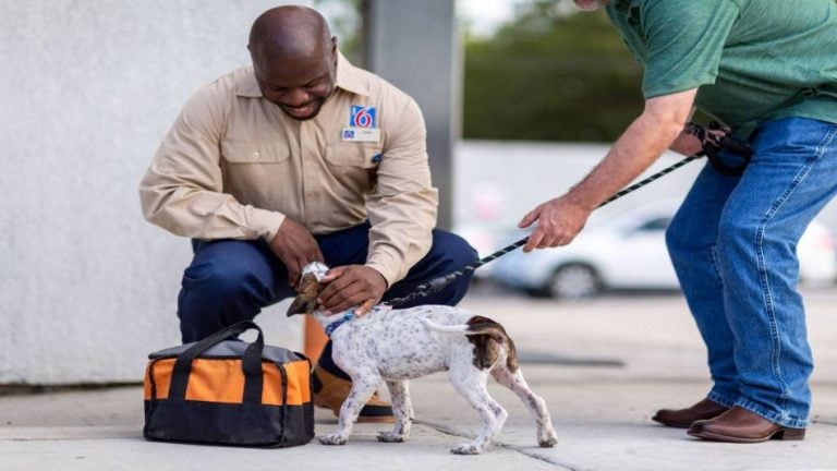 Photo of person and dog at Motel 6.