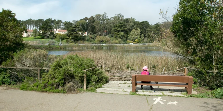 Mountain Lake Trail, a dog-friendly hiking trail in San Francisco, California