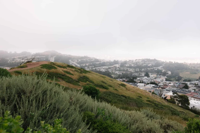 Mount Davidson, a dog-friendly hiking trail in San Francisco, California