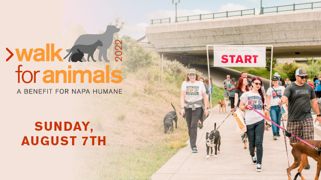 Walk for Animals Poster