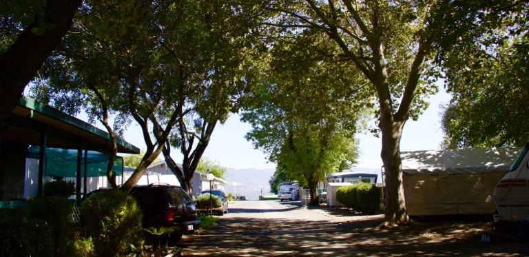 Northport Mobile RV resort, a dog-friendly campground in Lakeport, California