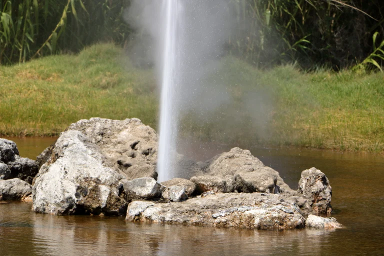 Old Faithful Geyser, a dog-friendly attraction in Calistoga, California