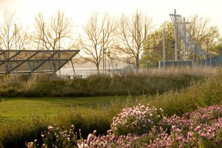 Union Point Park, a dog-friendly park in Oakland, California