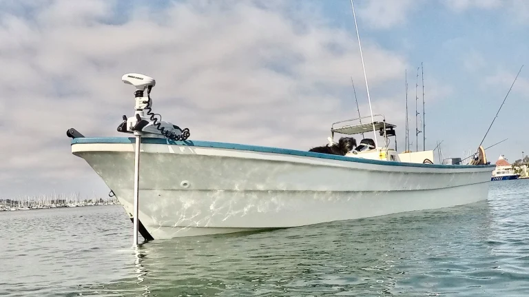 Panga Boat Charters